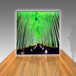 Panoramic Lightboxes 4ft, 8ft & 10ft w