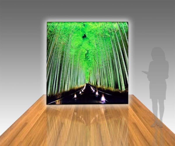 Panoramic Lightboxes 4ft, 8ft & 10ft w