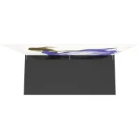 Formulate Master 20ft Straight 10ft Tall Fabric Backwall - Image 4