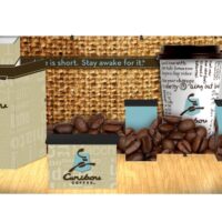 Panoramic Design 10ft x 20ft E - Image 4